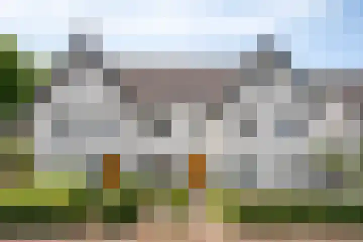 Hortsedijk 143 Helmond thumbnail 11