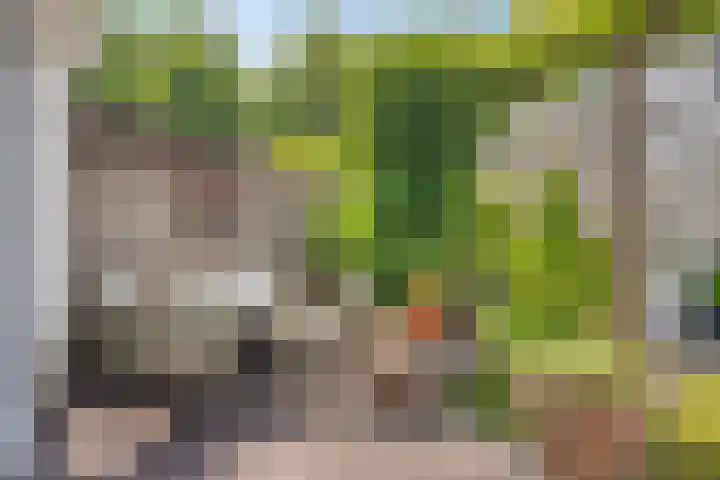 Hortsedijk 143 Helmond thumbnail 37