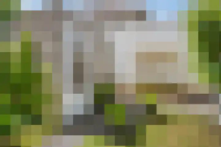 Hortsedijk 143 Helmond thumbnail 39