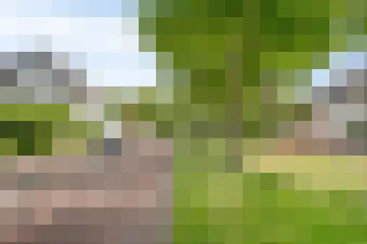 Hortsedijk 143 Helmond thumbnail 47