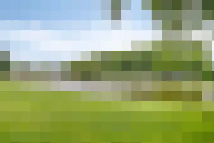 Hortsedijk 143 Helmond thumbnail 49