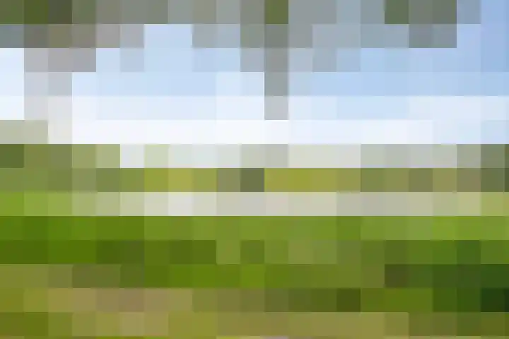 Hortsedijk 143 Helmond thumbnail 51