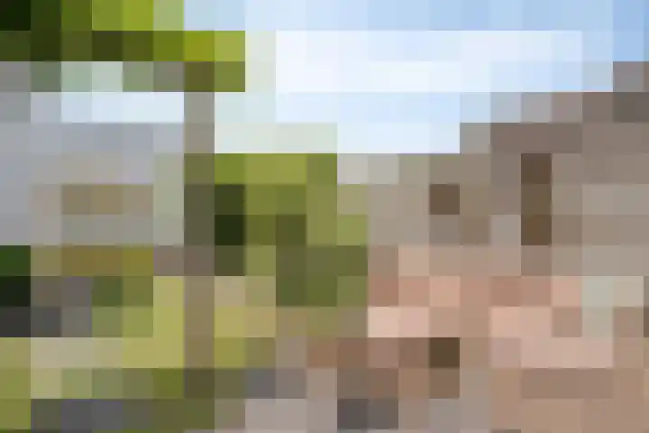 Hortsedijk 143 Helmond thumbnail 6