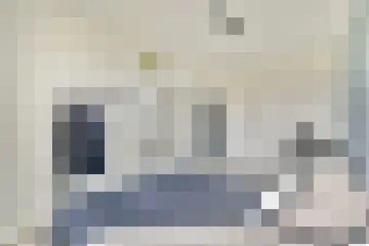 Hortus 10 Noordwijkerhout thumbnail 21