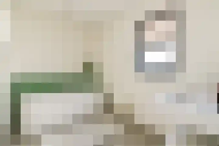 Hortus 10 Noordwijkerhout thumbnail 22