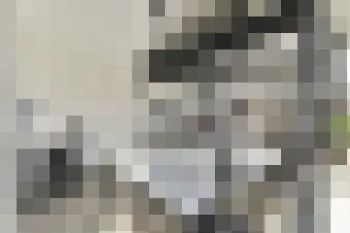 Hortus 10 Noordwijkerhout thumbnail 26