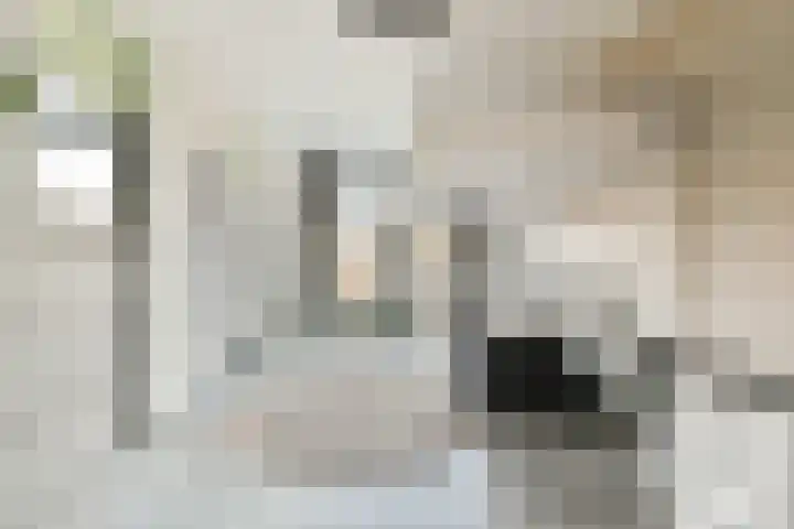 Hortus 10 Noordwijkerhout thumbnail 27