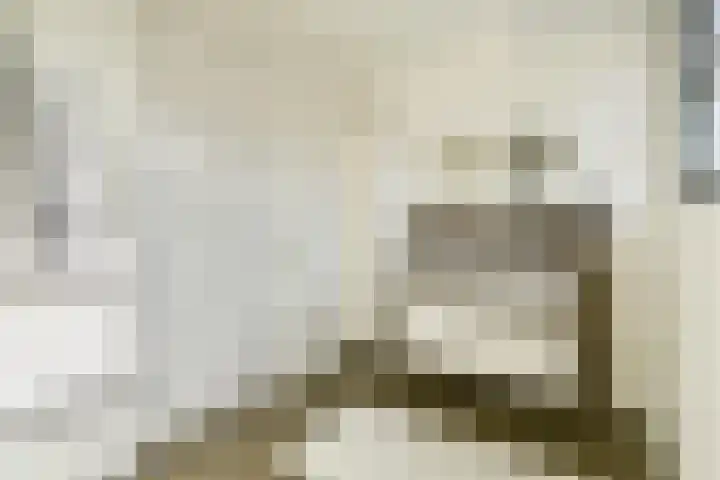 Hortus 10 Noordwijkerhout thumbnail 38