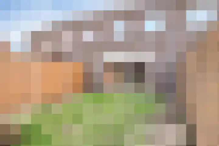Hortus 10 Rosmalen thumbnail 33