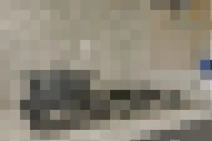 Hortus 13 Noordwijkerhout thumbnail 22