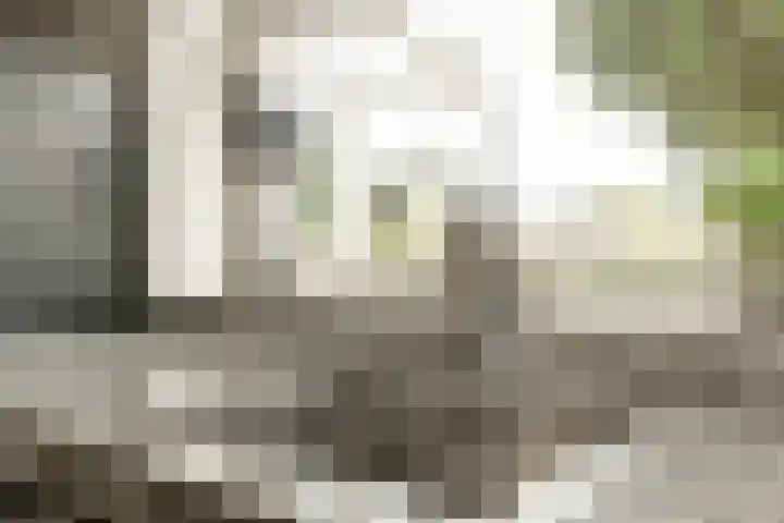 Hortus 13 Noordwijkerhout thumbnail 23