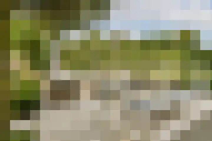 Hortus 13 Noordwijkerhout thumbnail 24