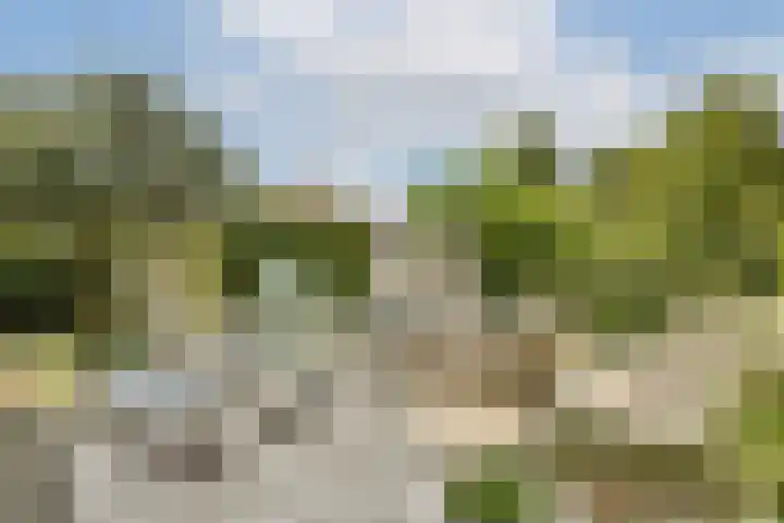 Hortus 13 Noordwijkerhout thumbnail 25