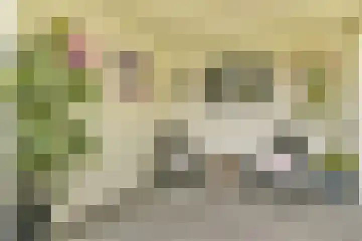 Hortus 13 Noordwijkerhout thumbnail 27