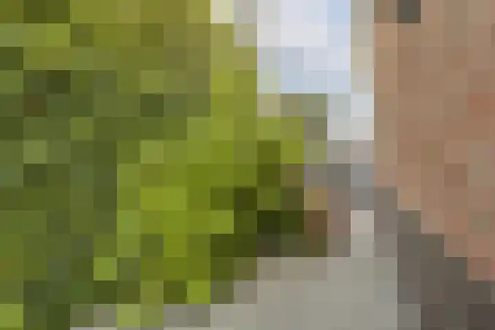 Hortus 13 Noordwijkerhout thumbnail 28