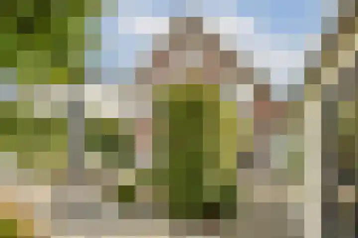 Hortus 13 Noordwijkerhout thumbnail 29
