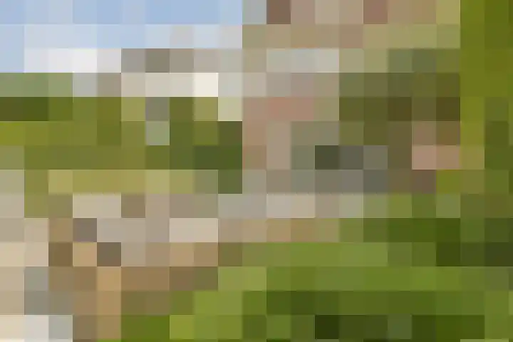 Hortus 13 Noordwijkerhout thumbnail 30