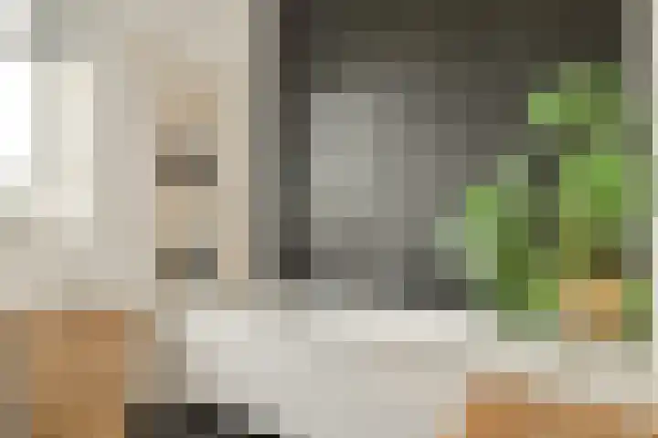 Hortus 13 Noordwijkerhout thumbnail 38