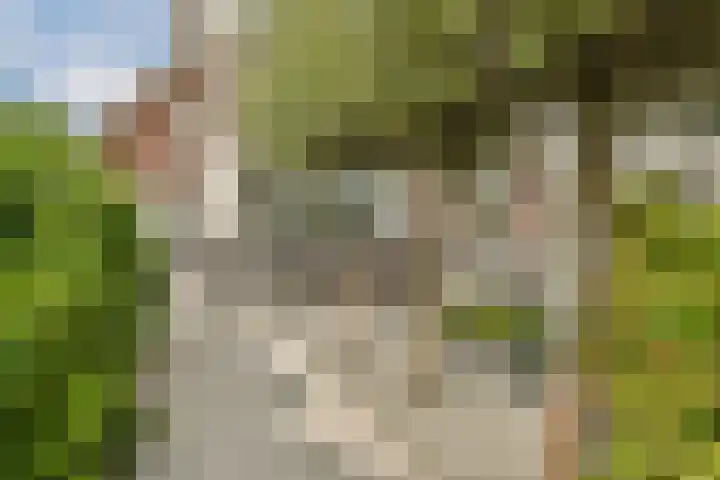 Hortus 13 Noordwijkerhout thumbnail 4