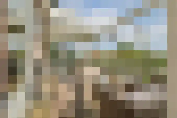 Hortus 13 Noordwijkerhout thumbnail 5