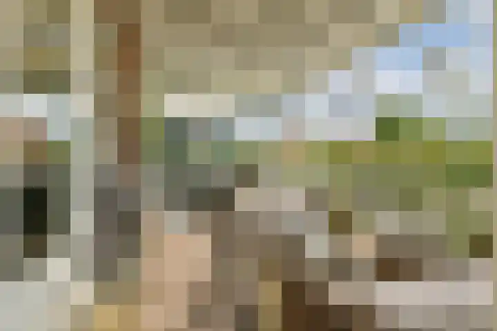 Hortus 13 Noordwijkerhout thumbnail 6