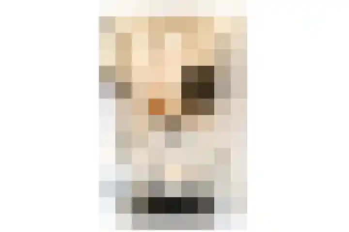 Hortus 13 Noordwijkerhout thumbnail 8