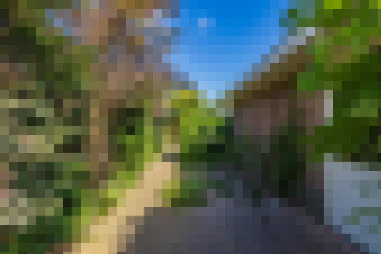 Hortus 15 Noordwijkerhout thumbnail 18