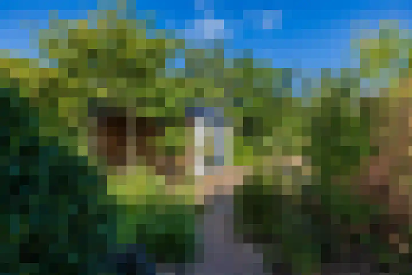 Hortus 15 Noordwijkerhout thumbnail 19