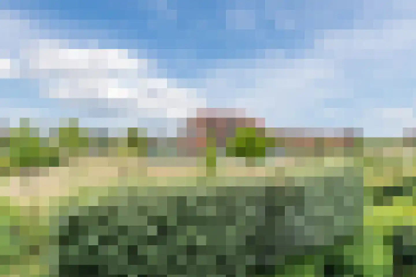 Hortus 15 Noordwijkerhout thumbnail 21