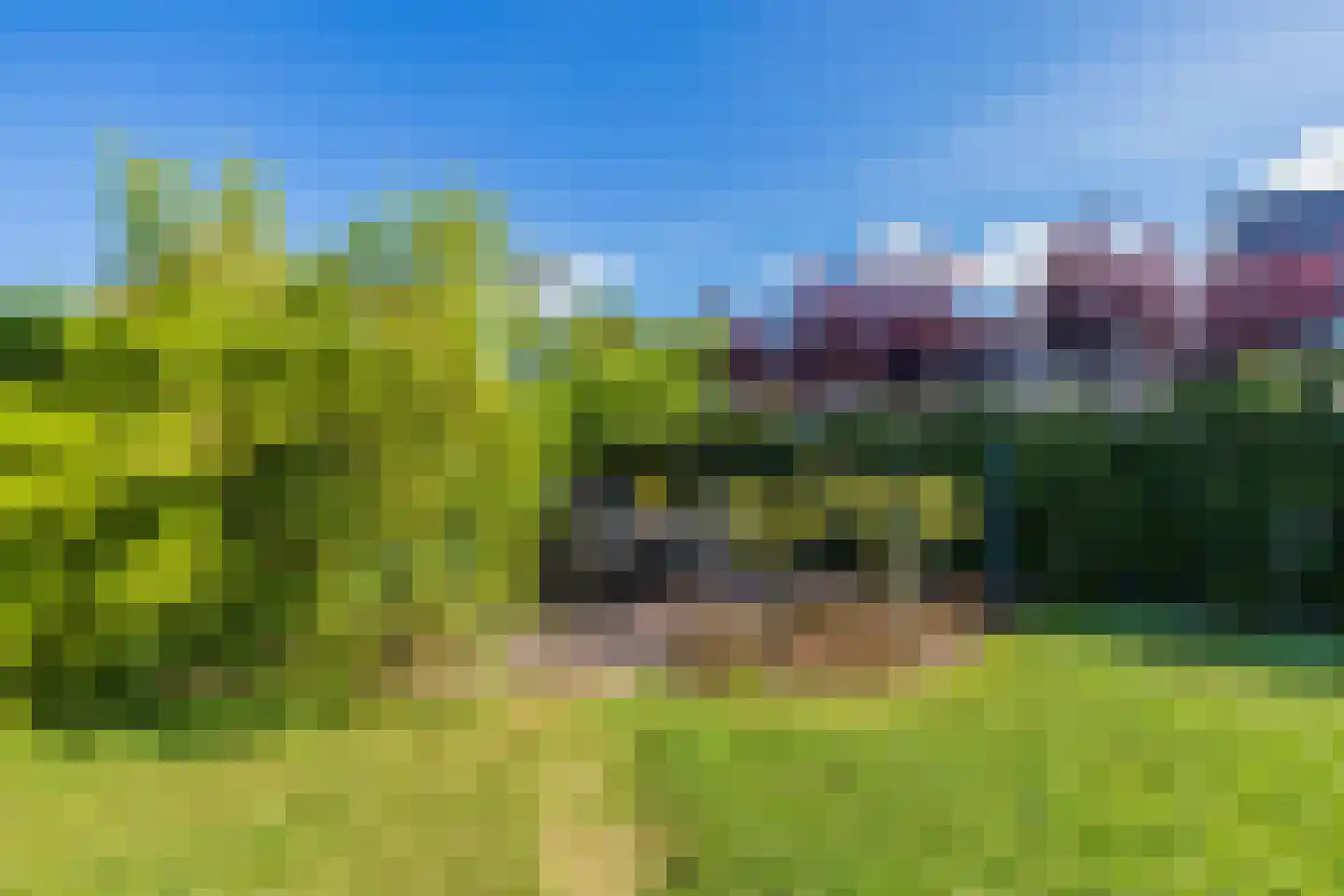 Hortus 15 Noordwijkerhout thumbnail 22