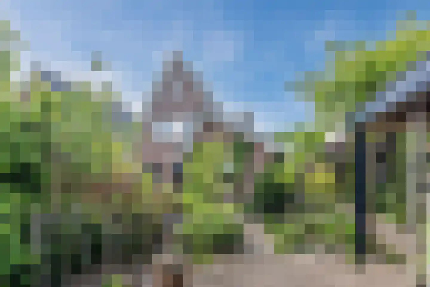 Hortus 15 Noordwijkerhout thumbnail 33