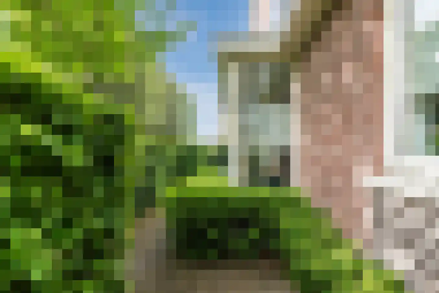 Hortus 15 Noordwijkerhout thumbnail 37