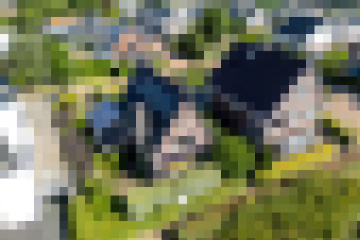 Hortus 15 Noordwijkerhout thumbnail 38