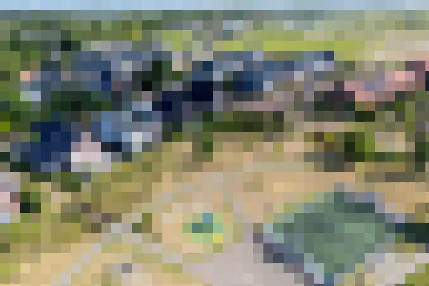Hortus 15 Noordwijkerhout thumbnail 39