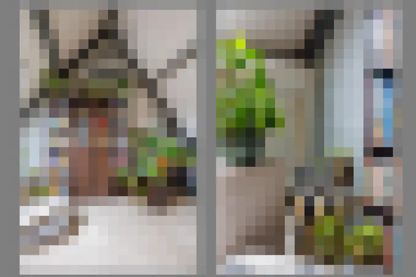 Hortus 27 Ewijk thumbnail 34