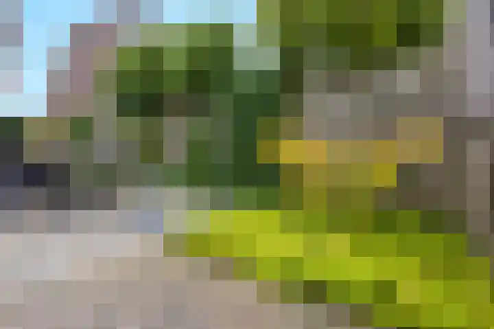 Hortus 32 Ewijk thumbnail 46