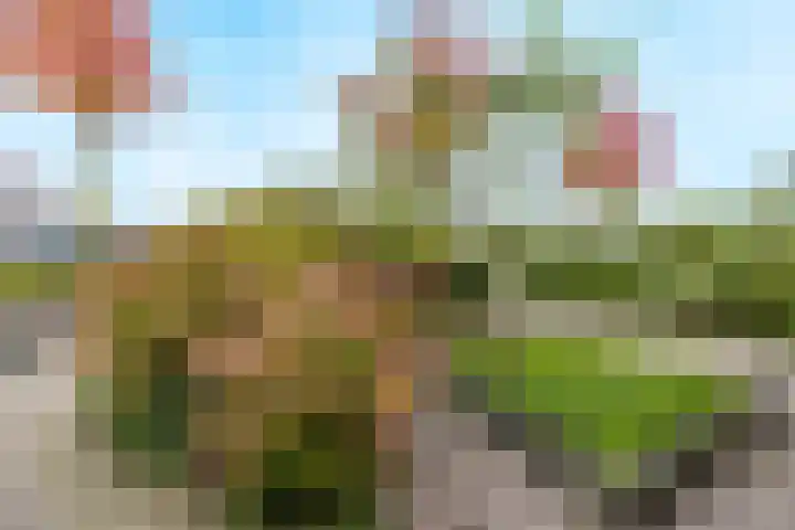 Hortus 32 Ewijk thumbnail 55