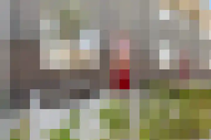 Hortus 47 Rosmalen thumbnail 37
