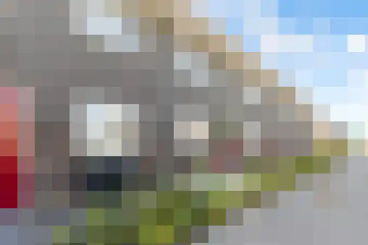 Hortus 47 Rosmalen thumbnail 38