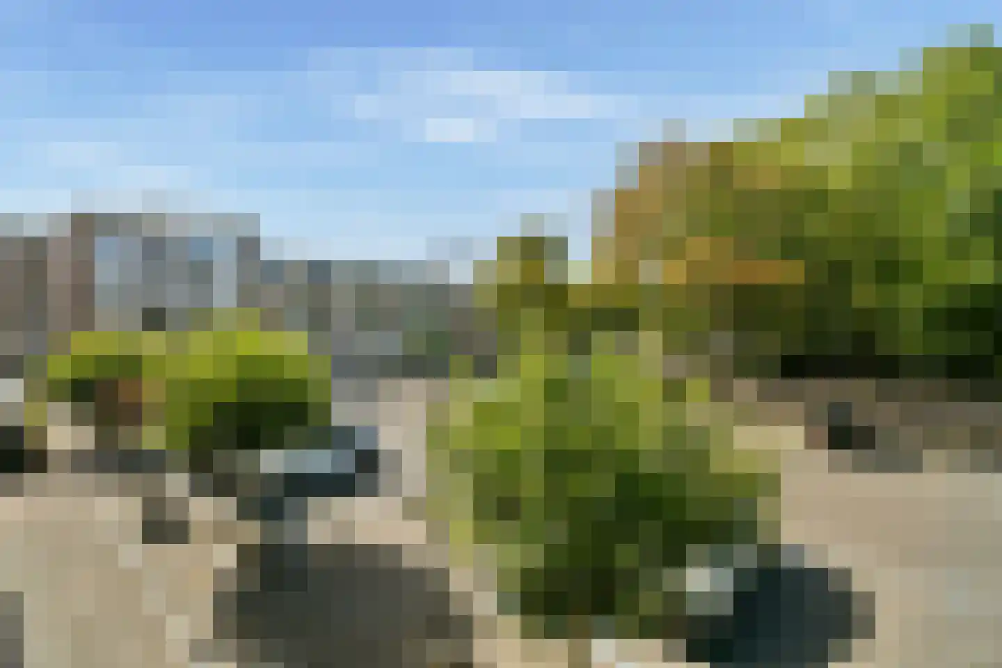 Hortuslaan 118 Sassenheim thumbnail 12