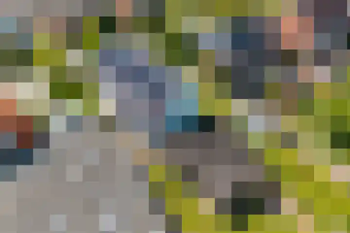 Hortuslaan 5 Haren Gn thumbnail 57