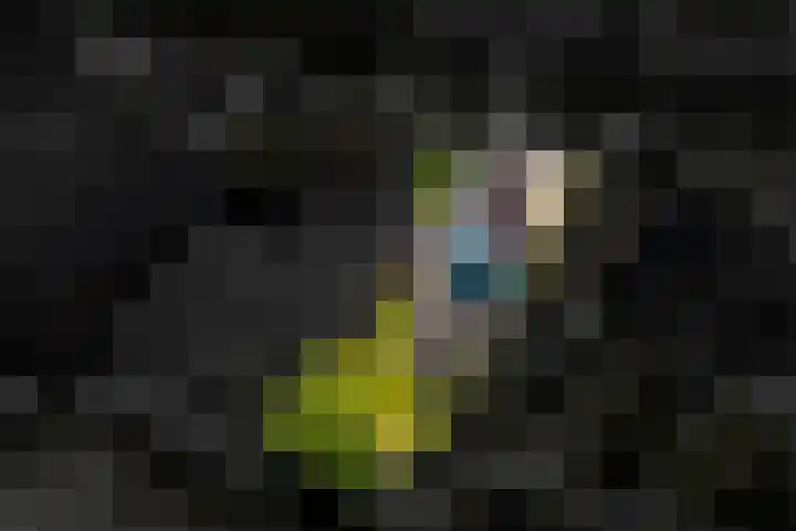 Hortuslaan 5 Haren Gn thumbnail 58