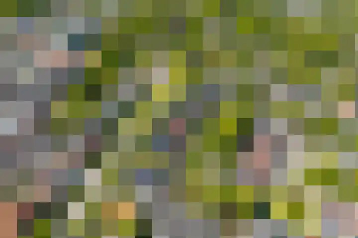 Hortuslaan 5 Haren Gn thumbnail 59