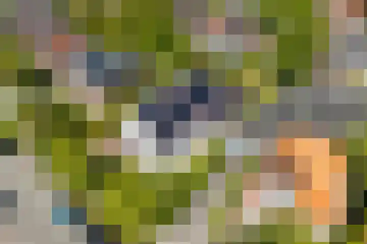 Hortuslaan 5 Haren Gn thumbnail 60