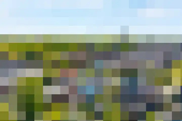 Hortuslaan 5 Haren Gn thumbnail 61