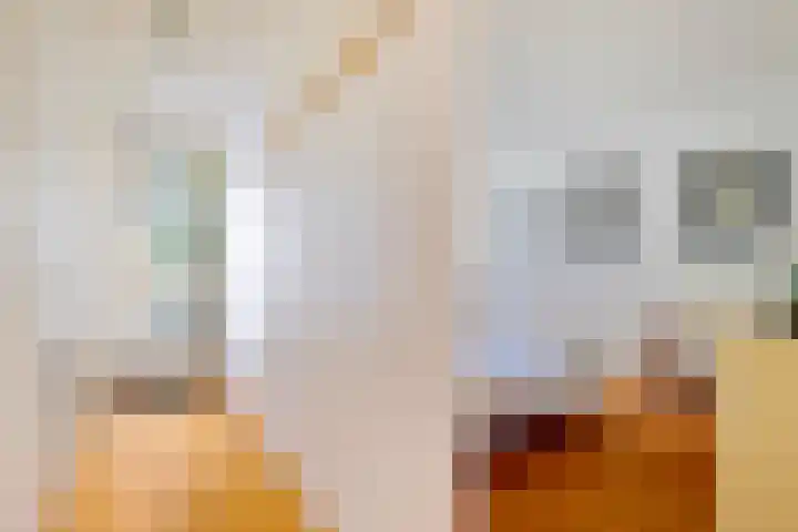 Hortusplantsoen 34 Amsterdam thumbnail 12