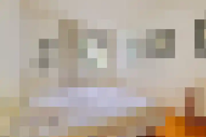 Hortusplantsoen 34 Amsterdam thumbnail 13