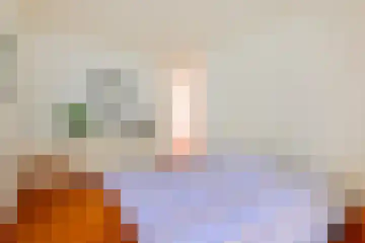 Hortusplantsoen 34 Amsterdam thumbnail 14