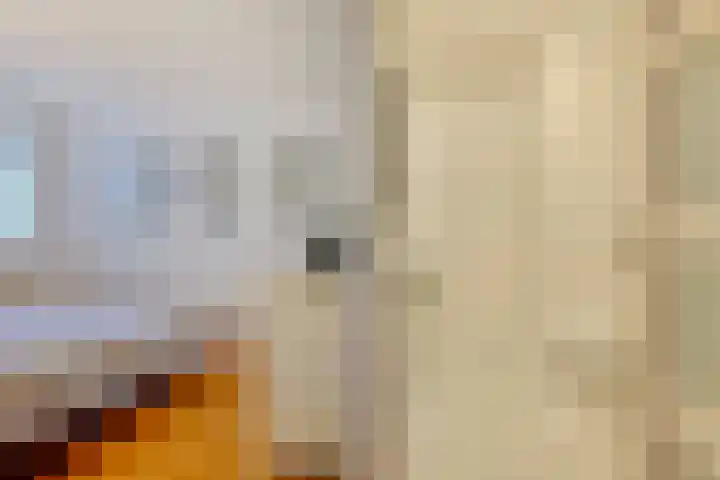 Hortusplantsoen 34 Amsterdam thumbnail 15