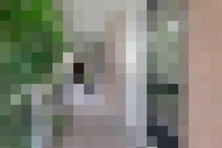 Hortusplantsoen 34 Amsterdam thumbnail 17